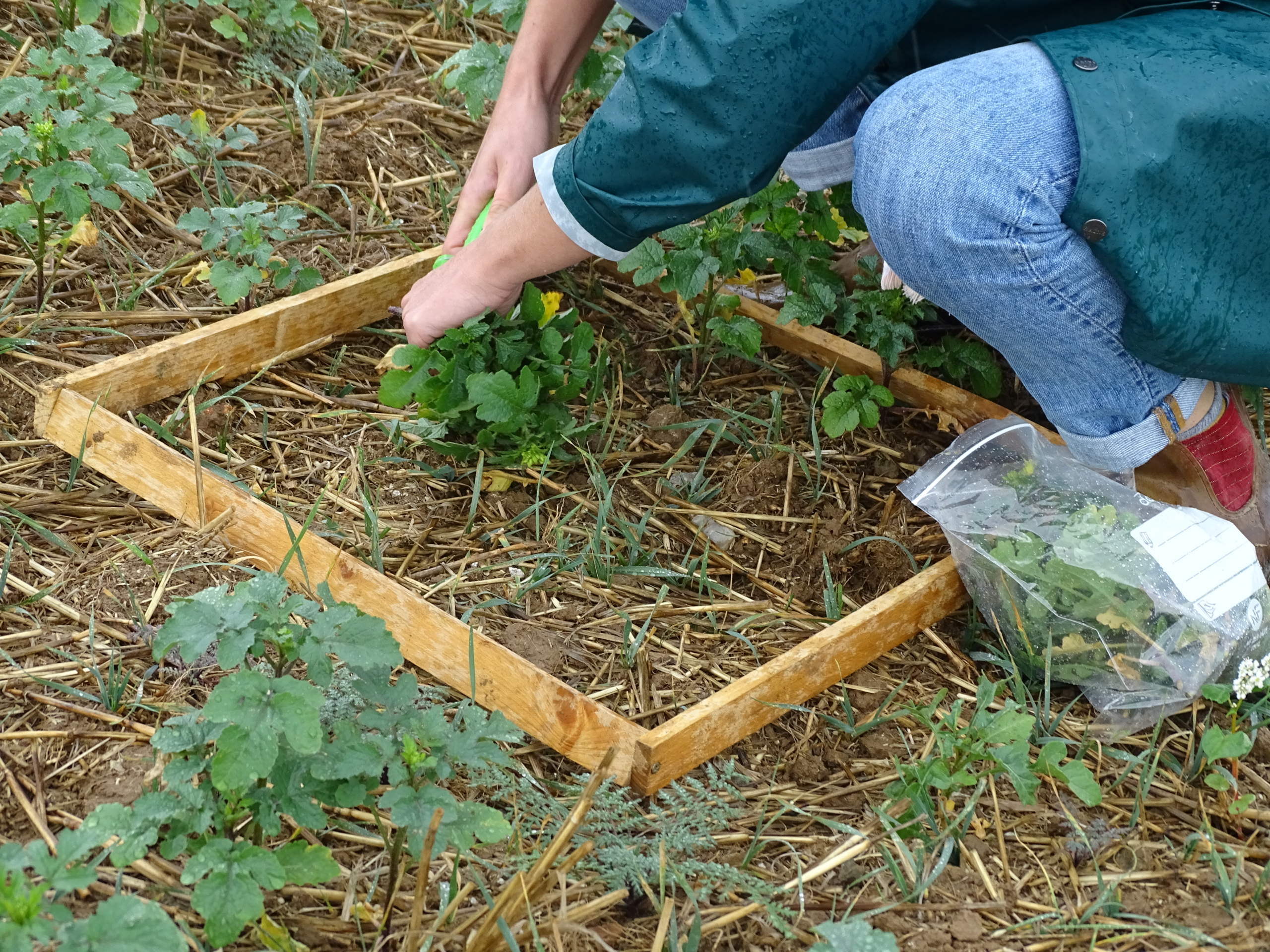 Projet Europeen Observations Sur Le Bac Et Participation Au Polldiff Eau Serpn Syndicat D Eau Du Roumois Et Du Plateau Du Neubourg